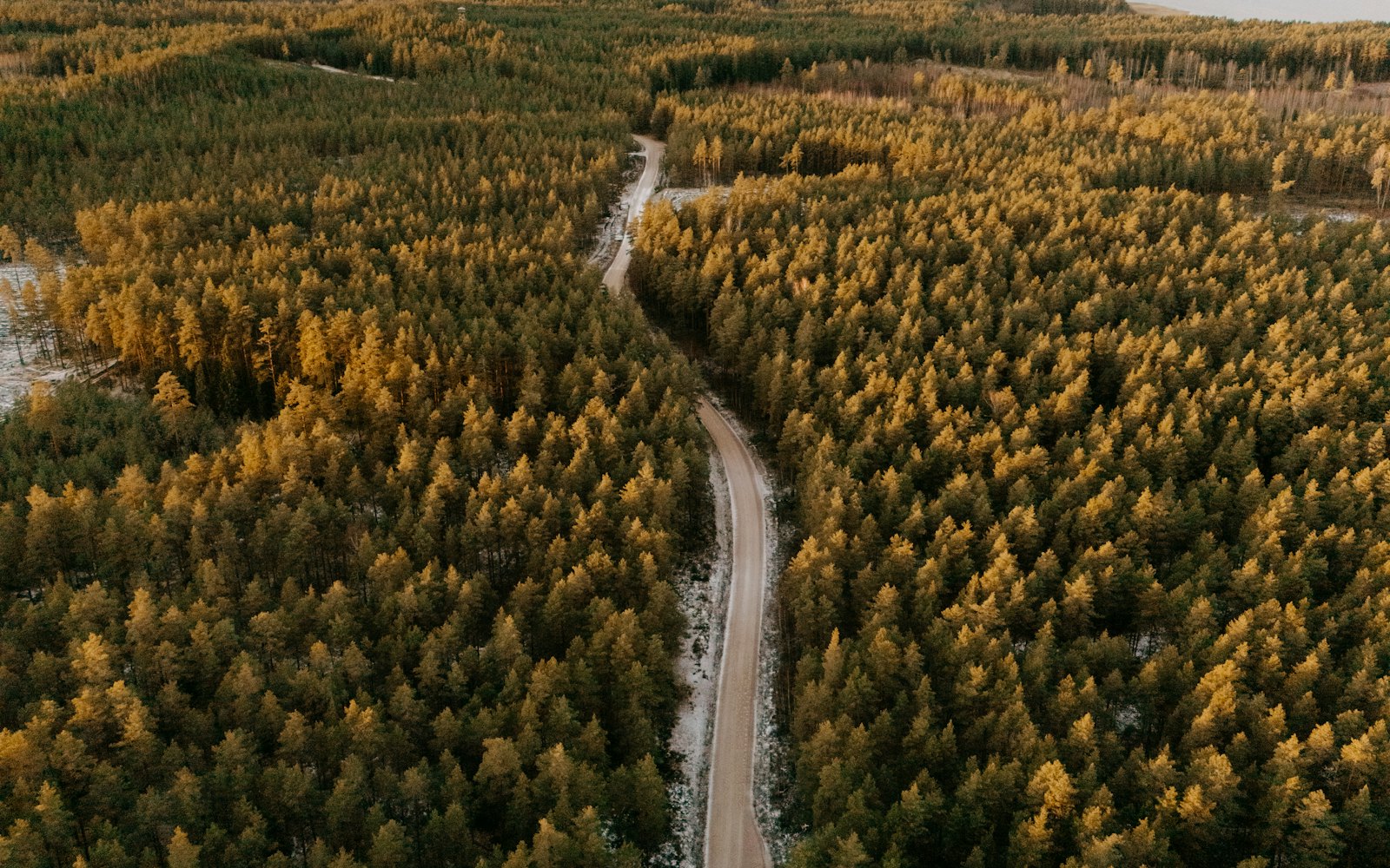 Pirmasenser MTB Tour — Landschaft