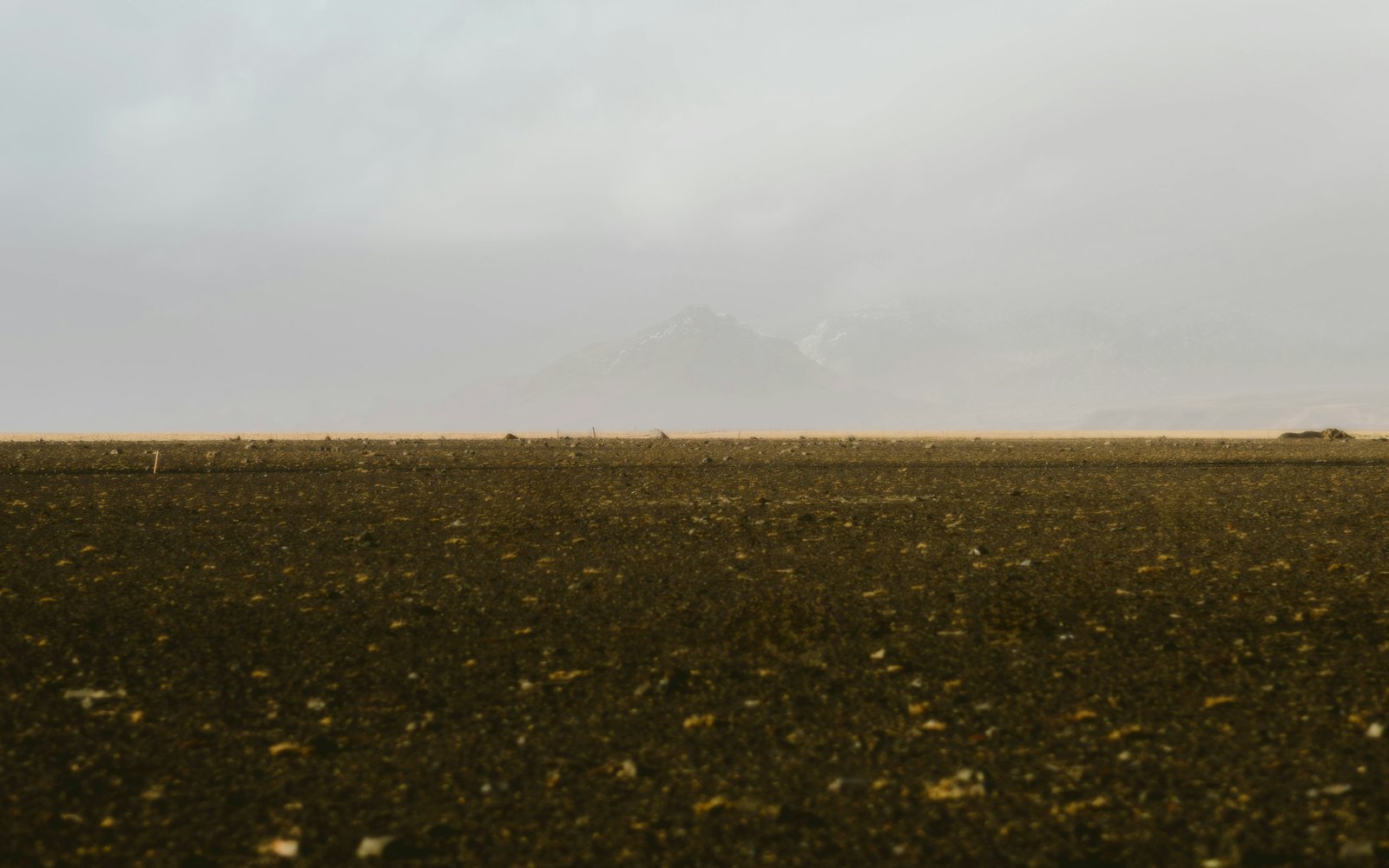 Germersheim Rhein-Schleife — Landschaft