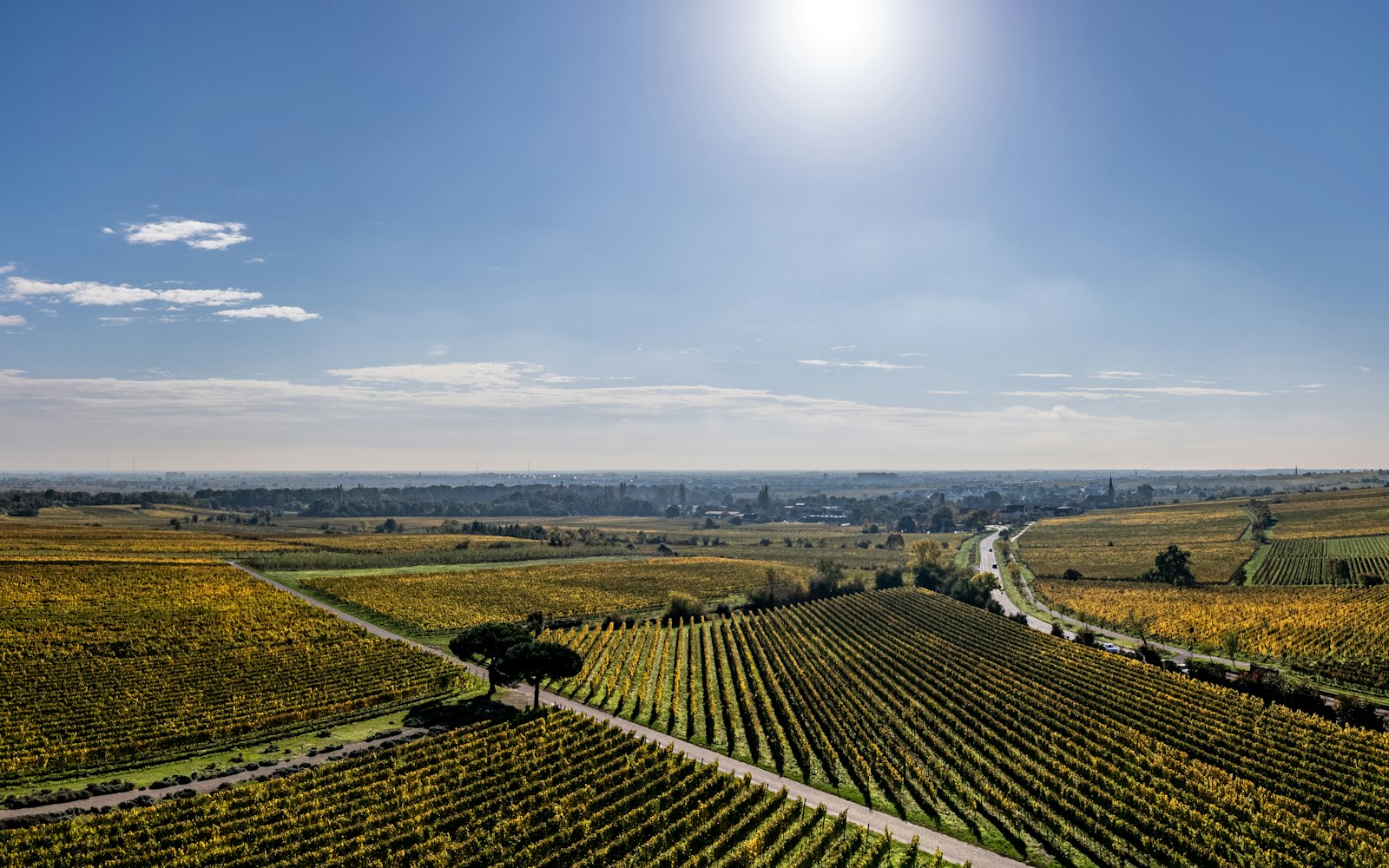 Leistadt Lindemannsruhe Loop — Landschaft